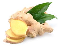 ginger是什么意思