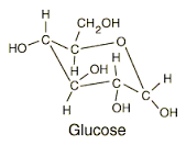 glucose是什么意思