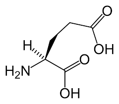 glutamate是什么意思