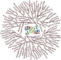 glycogen是什么意思