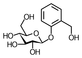 glycoside是什么意思