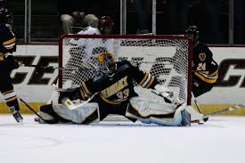 goalie是什么意思