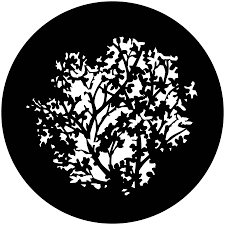 gobo是什么意思