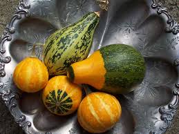gourd是什么意思