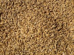 grain是什么意思