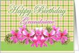 grandniece是什么意思