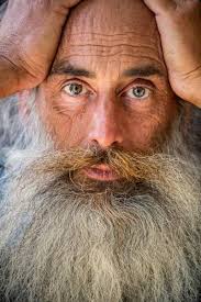 graybeard是什么意思