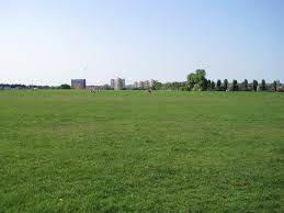 ground是什么意思
