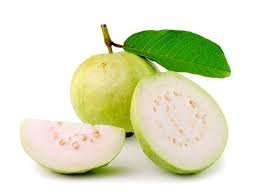 guava是什么意思