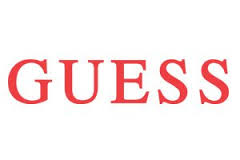 guess是什么意思