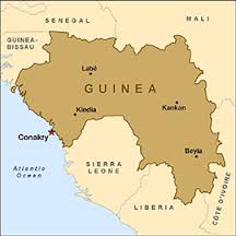 guinea是什么意思