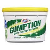 gumption是什么意思