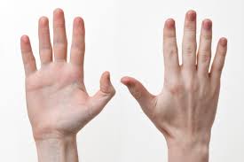 hand是什么意思