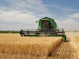 harvesting是什么意思