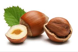 hazelnut是什么意思