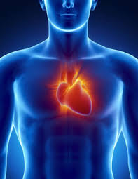 heartburn是什么意思