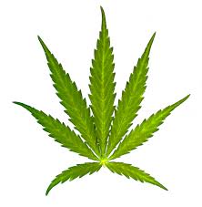hemp是什么意思