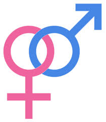 heterosexuality是什么意思
