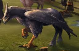 hippogriff是什么意思