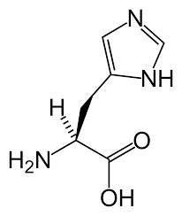 histidine是什么意思