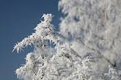 hoarfrost是什么意思