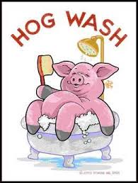 hogwash是什么意思