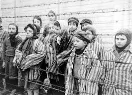 holocaust是什么意思