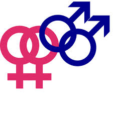 homosexuality是什么意思