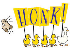 honk是什么意思