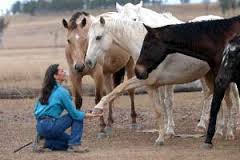 horsemanship是什么意思