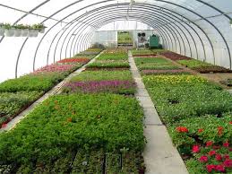 horticultural是什么意思