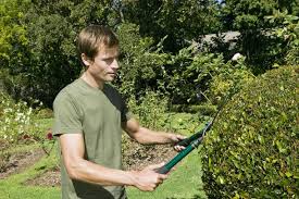 horticulturist是什么意思