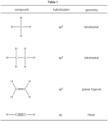 hybridization是什么意思