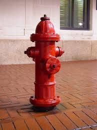 hydrant是什么意思