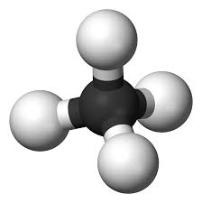 hydrocarbon是什么意思