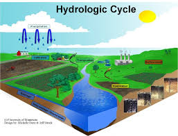 hydrology是什么意思