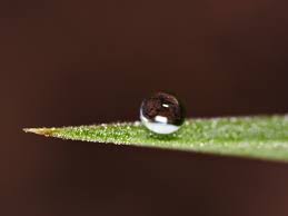 hydrophobic是什么意思