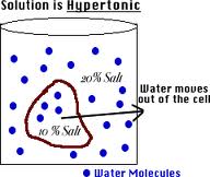 hypertonic是什么意思