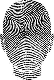 identity是什么意思