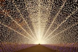 illumination是什么意思