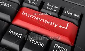 immensely是什么意思