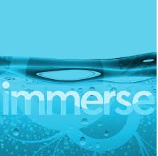 immerse是什么意思