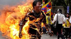 immolation是什么意思