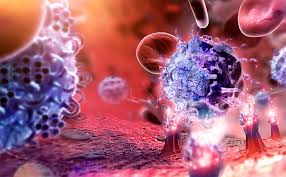 immunology是什么意思