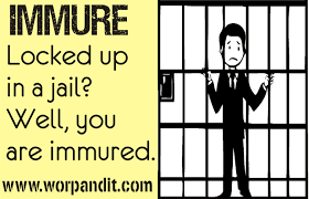 immure是什么意思