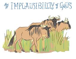 implausibility是什么意思