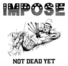 impose是什么意思