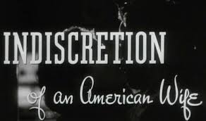 indiscretion是什么意思