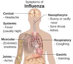 influenza是什么意思
