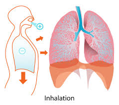 inhalation是什么意思
